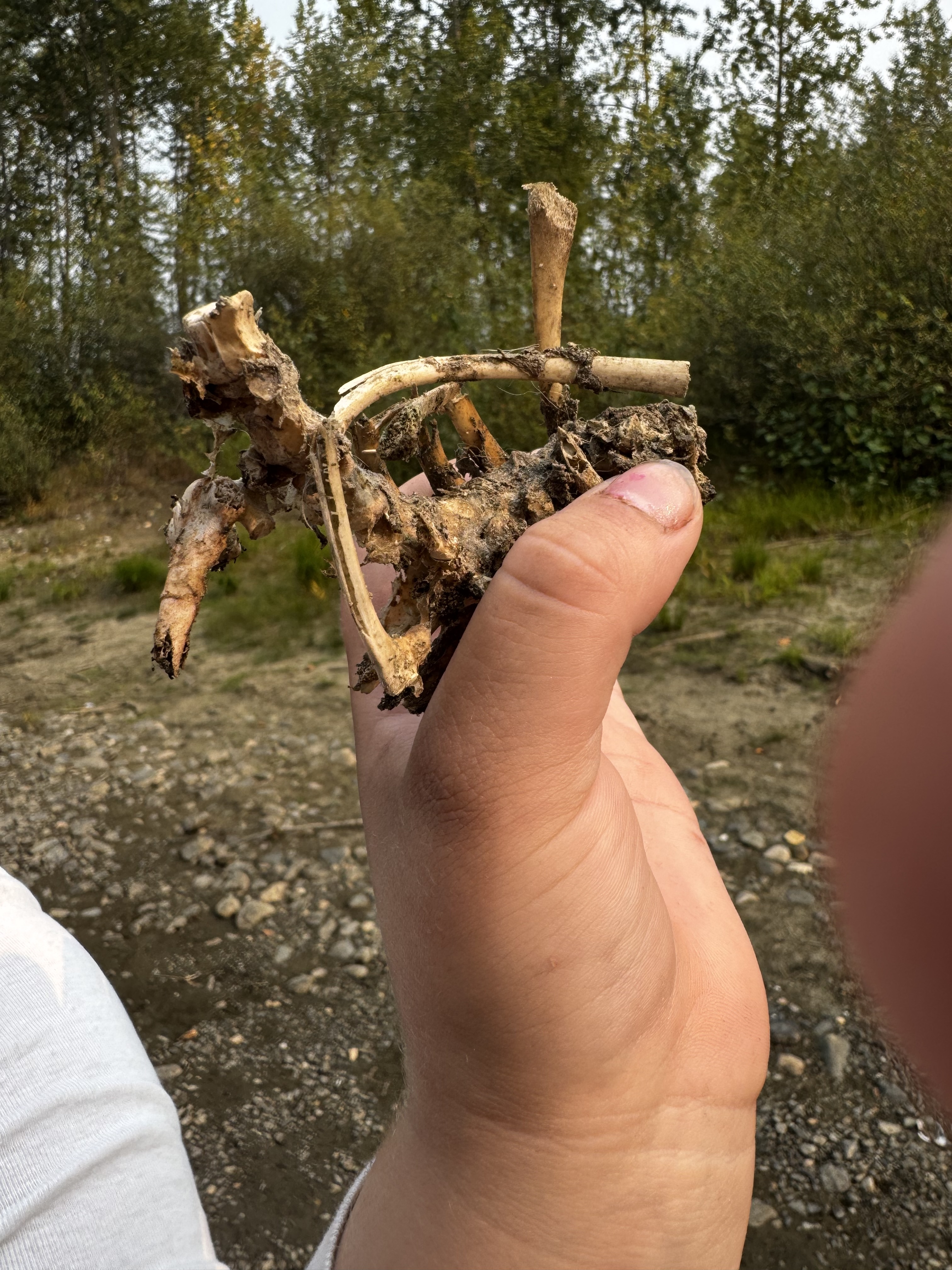 Day at the River4 heather auger